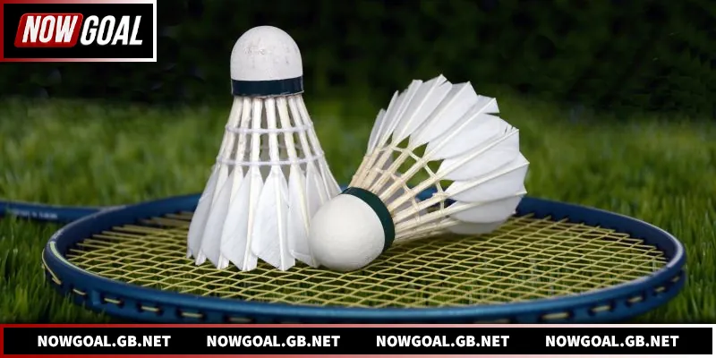 Cầu Lông Nowgoal - Cập Nhật Tỷ Số Và Phân Tích Chuyên Sâu